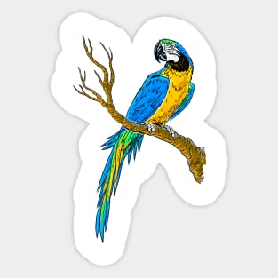 Ara Bird Sticker